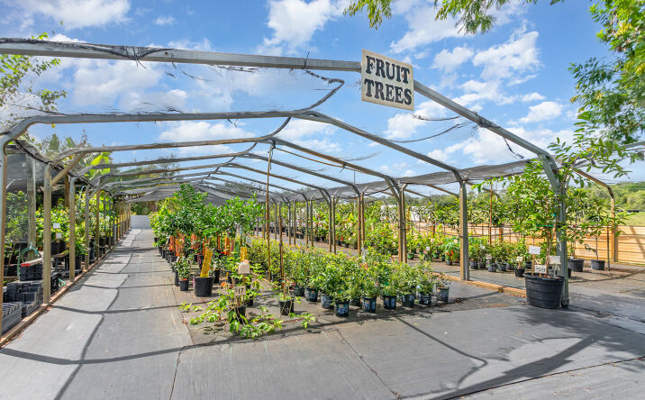 Pictures of Business for Sale, Special Purpose property located at 155 11th Ave, Osteen, FL 32764 for sales - image #1