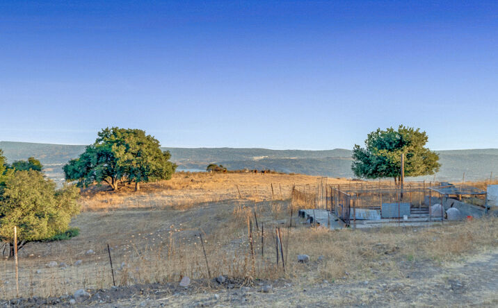 Pictures of Land property located at 0 Sycamore Flats Mtwy, San Dimas, CA 91773 for sales - image #1