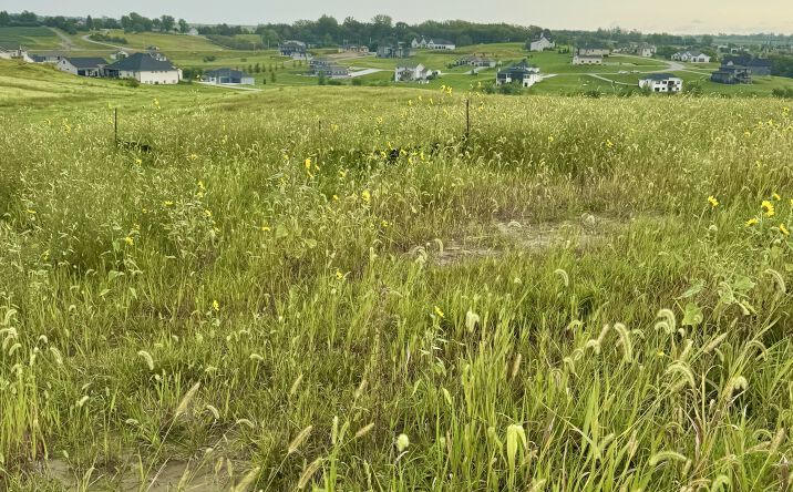 Pictures of Land property located at TBD - The Estates at Wynnwood Lot 42, Gretna, NE 68028 for sales - image #1