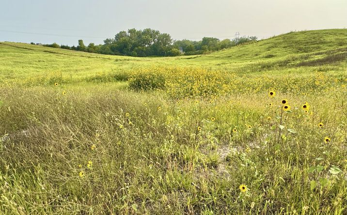 Pictures of Land property located at 22611 Copper Ridge Road, Gretna, NE 68028 for sales - image #1