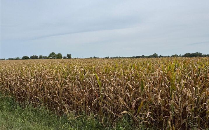 Pictures of Land property located at TBD Hwy V Highway, Gallatin, MO 64640 for sales - image #1