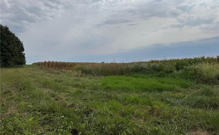Pictures of Land property located at TBD State Hwy V Highway, Gallatin, MO 64640 for sales - image #1