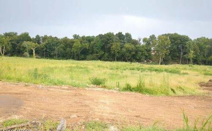 Pictures of Land property located at 290 Bill Mauk Rd, Chuckey, TN 37641 for sales - image #1