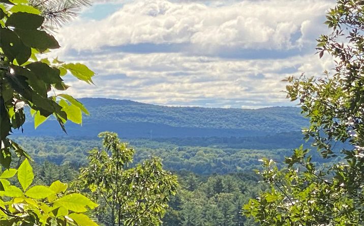 Pictures of Land property located at Dug Hill Road, Hurley, NY 12443 for sales - image #1