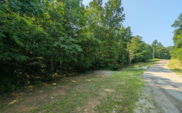 Pictures of Land property located at Cheyenne Dr, Jamestown, TN 38556 for sales - image #1