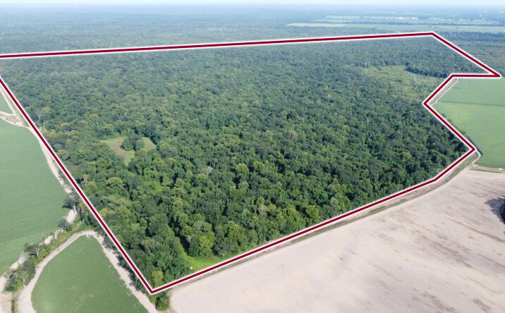 Pictures of Land property located at Highway 411, Rosedale, LA 70772 for sales - image #1
