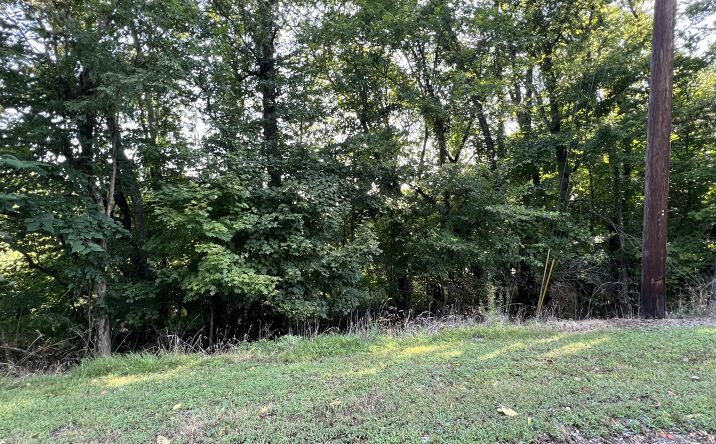 Pictures of Land property located at 8 Jarrell Ridge Rd, Clarksville, TN 37043 for sales - image #1