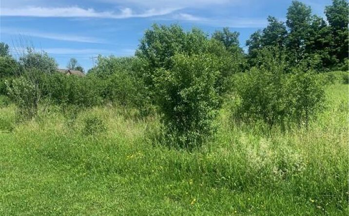 Pictures of Land property located at Kingfisher Lane, New Hartford, NY 13413 for sales - image #1