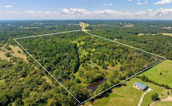 Pictures of Land property located at TBD CR 166, Tyler, TX 75703 for sales - image #1