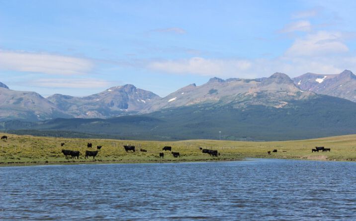 Pictures of Land property located at NHN Hwy 2, East Glacier Park, MT 59434 for sales - image #1