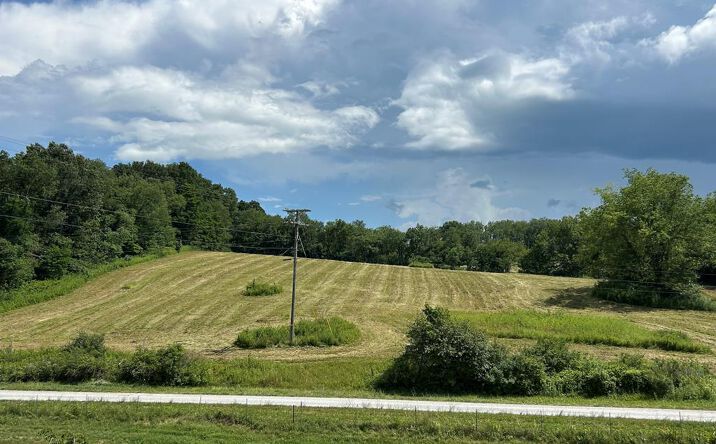 Pictures of Land property located at 16.75 ac Off Blacklick Rd, Rural Retreat, VA 24368 for sales - image #1