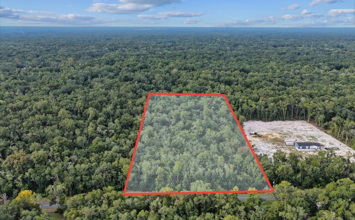 Pictures of Land property located at NE 206th Ave, Old Town, FL 32680 for sales - image #1