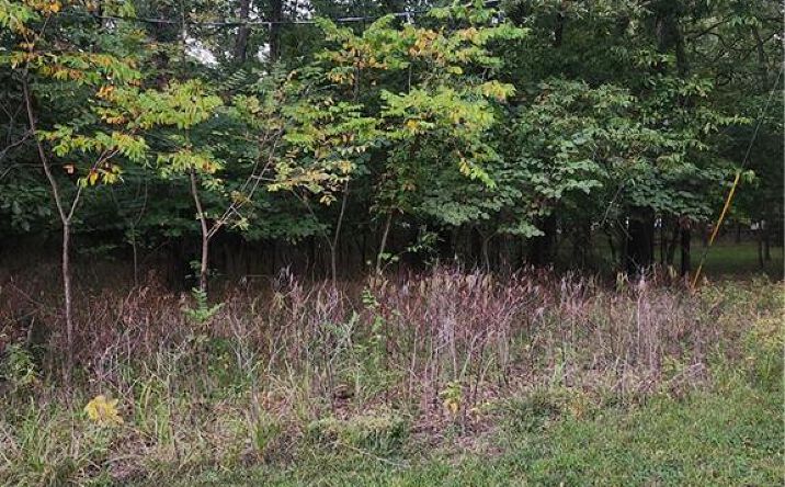 Pictures of Land, Special Purpose property located at 1 Live Oak Lane, Linn Valley, KS 66040 for sales - image #1
