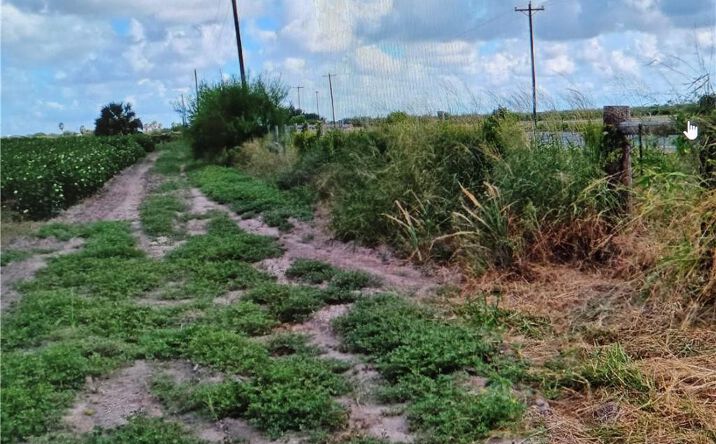 Pictures of Land property located at 1 mile N FM 1761 Road, Raymondville, TX 78580 for sales - image #1