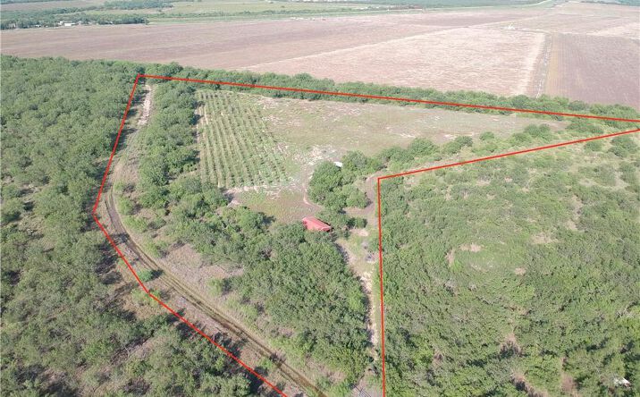 Pictures of Land property located at N Military Road, Palmview, TX 78560 for sales - image #1