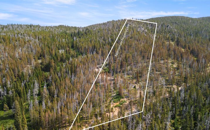 Pictures of Land property located at NHN Peerless Jennie Crossroad, Helena, MT 59601 for sales - image #1