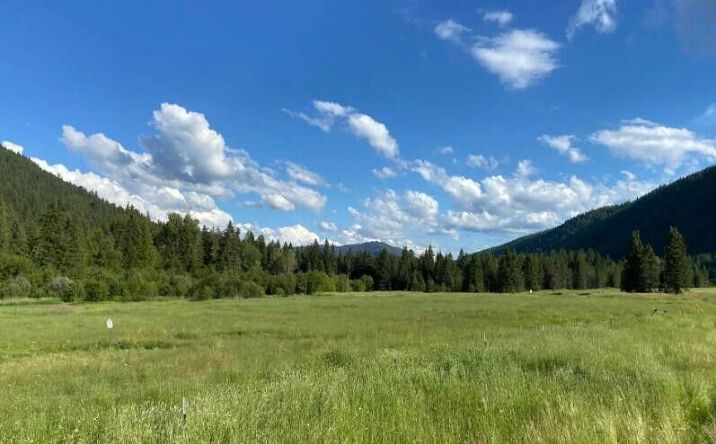 Pictures of Land property located at 2398 Pne Crk Rd, Troy, MT 59935 for sales - image #1