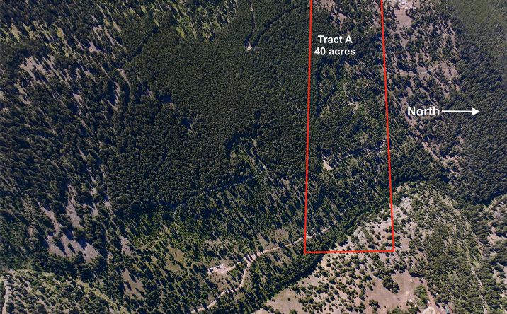 Pictures of Land property located at TBD A Chimney Lakes Road, Helmville, MT 59843 for sales - image #1
