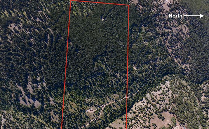 Pictures of Land property located at TBD B Chimney Lakes Road, Helmville, MT 59843 for sales - image #1
