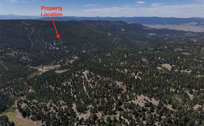 Pictures of Land property located at TBD A&B Chimney Lakes Road, Helmville, MT 59843 for sales - image #1