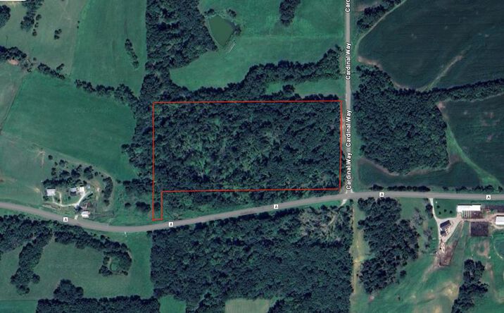 Pictures of Land property located at xxx State Highway A & Cardinal Way, Greentop, MO 63546 for sales - image #1