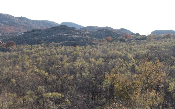 Pictures of Land property located at 20826 E County Road 1470, Lone Wolf, OK 73655 for sales - image #1