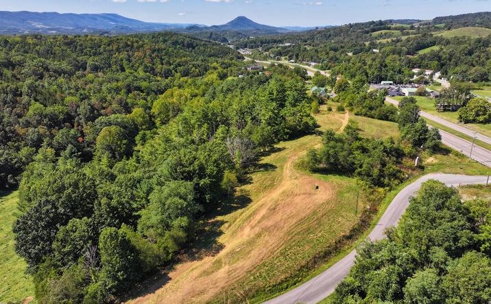 Pictures of Land property located at TBD Willow Springs Road, Cedar Bluff, VA 24609 for sales - image #1