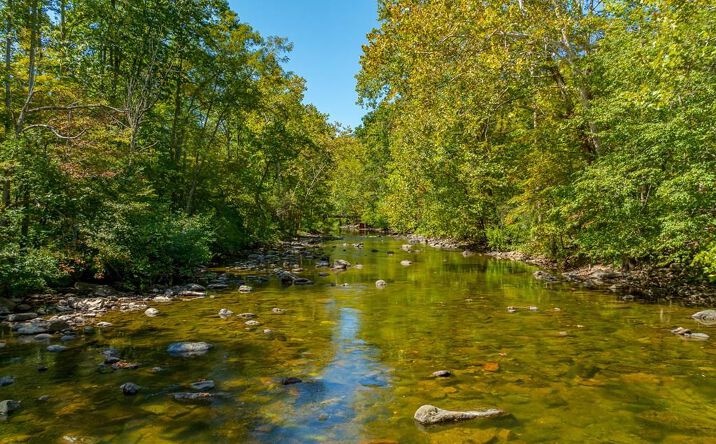Pictures of Land, Multifamily property located at TBD Wolf Creek Road, Narrows, VA 24124 for sales - image #1