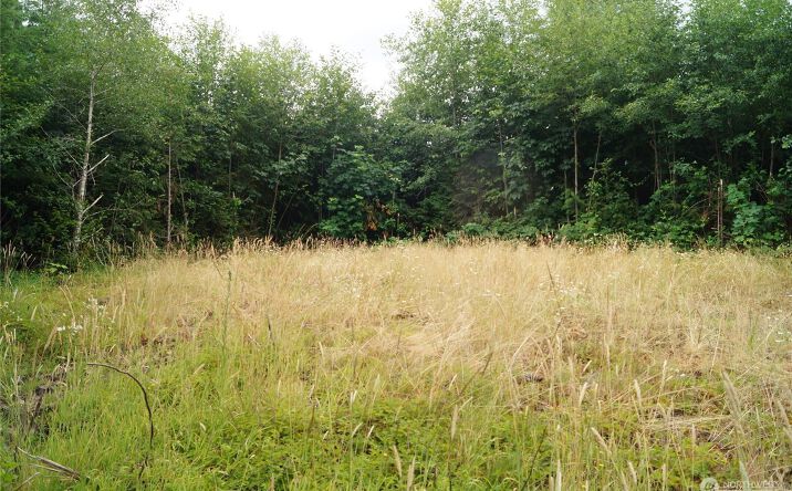 Pictures of Land property located at 0 Off Of Wynooche Wishkah Rd, Montesano, WA 98563 for sales - image #1