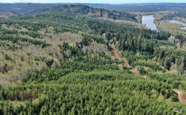 Pictures of Land property located at 0 Off Of State Route 107, Montesano, WA 98563 for sales - image #1