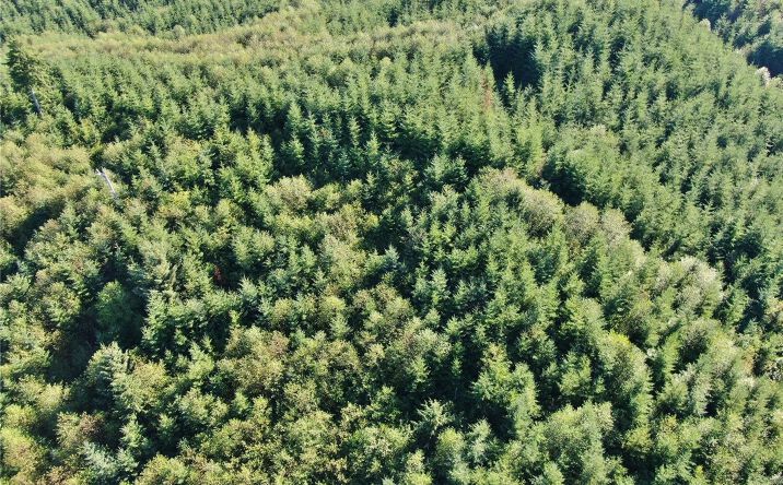 Pictures of Land property located at Butte Creek Rd, Raymond, WA 98577 for sales - image #1