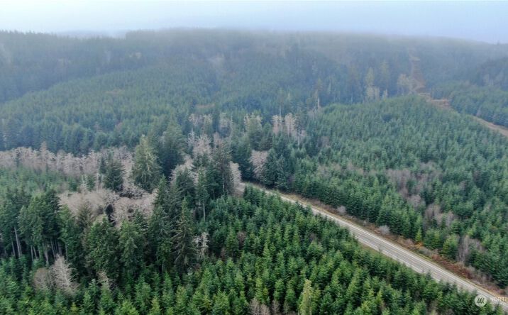 Pictures of Land property located at 0 M.p. 1 State Route 107, Cosmopolis, WA 98537 for sales - image #1
