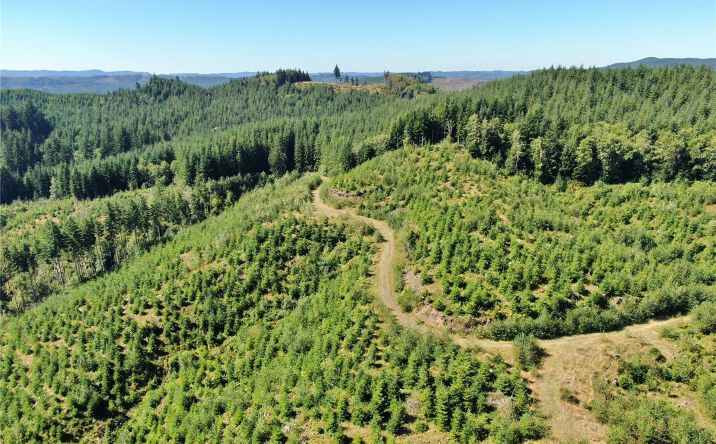 Pictures of Land property located at 0 Nka Lund Road, Cosmopolis, WA 98537 for sales - image #1