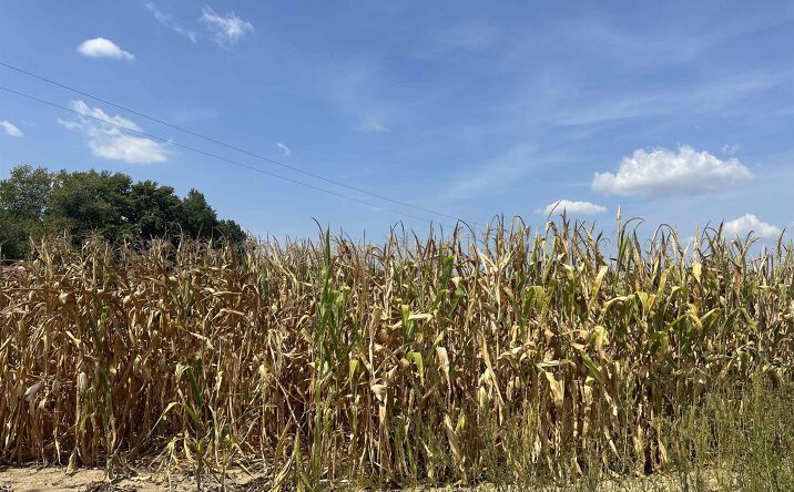 Pictures of Land property located at 15905 Highway 127 Road, Murphysboro, IL 62966 for sales - image #1
