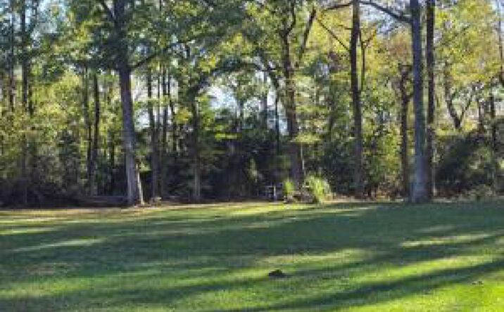 Pictures of Mixed Use property located at 0 Meadow Lane Lane, Barnwell, SC 29812 for sales - image #1