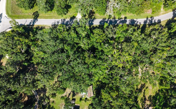 Pictures of Land property located at 548 NE 543rd St, Old Town, FL 32680 for sales - image #1