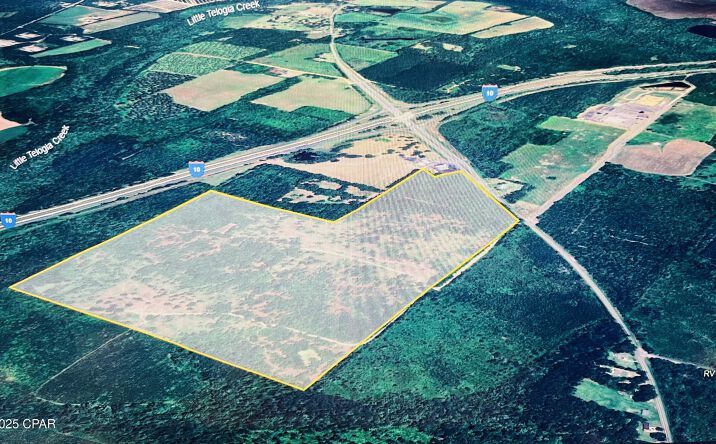 Pictures of Land property located at XXXX GREENSBORO HWY, Quincy, FL 32351 for sales - image #1