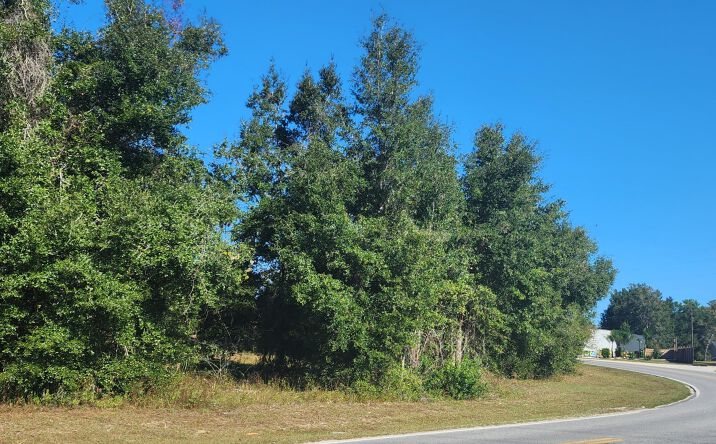 Pictures of Land, Industrial, Office property located at 00 COMMERCIAL Circle, Keystone Heights, FL 32656 for sales - image #1