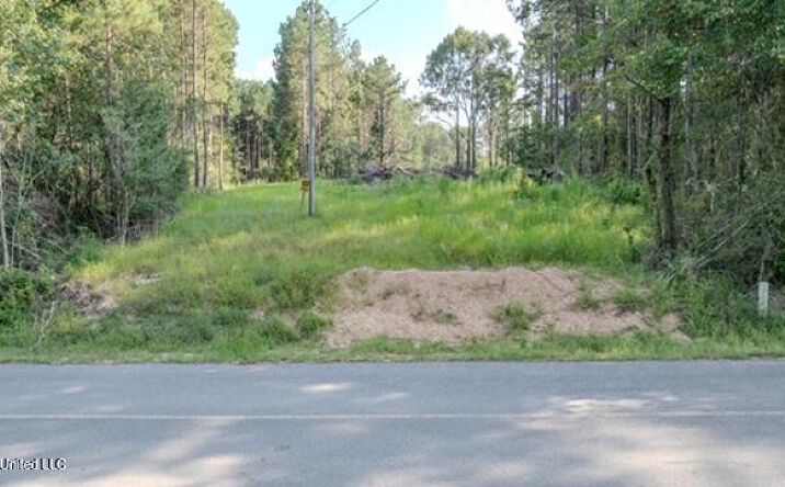 Pictures of Land property located at 174 Pap Armstrong Road, Wiggins, MS 39577 for sales - image #1