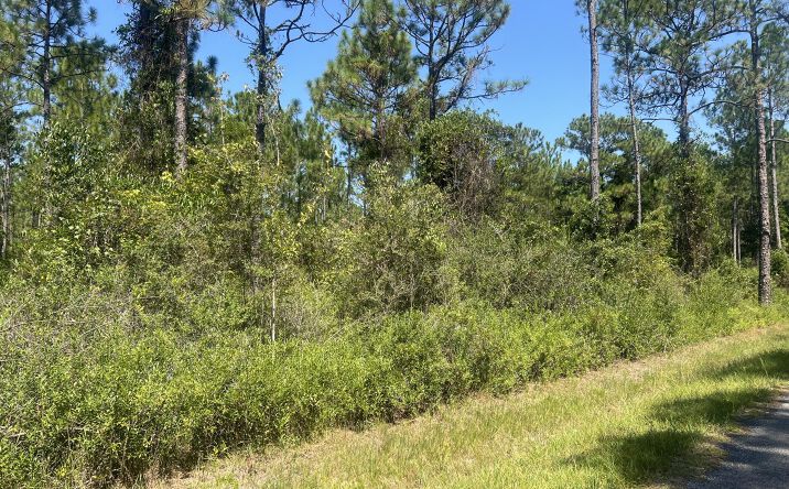 Pictures of Land property located at Leggett Road, Long Beach, MS 39560 for sales - image #1