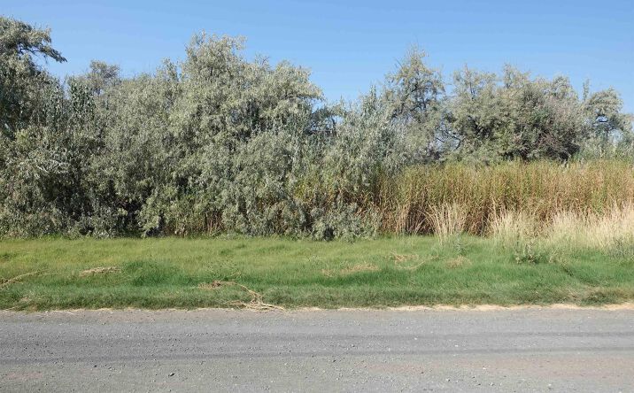 Pictures of Land property located at 1930 Jericho Rd, Richland, WA 99352 for sales - image #1