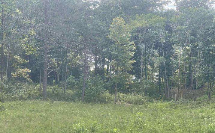 Pictures of Land property located at 0 Olympus Dr, Albany, KY 42602 for sales - image #1