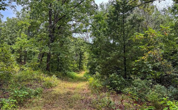 Pictures of Land property located at Sunnyside Creek Retreat, Conway, AR 72027 for sales - image #1