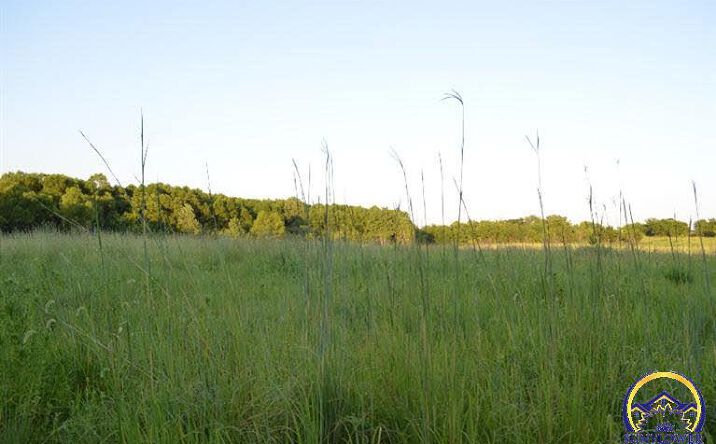 image of property at 4TH & CONTOUR-ROAD Gridley KS 66852
