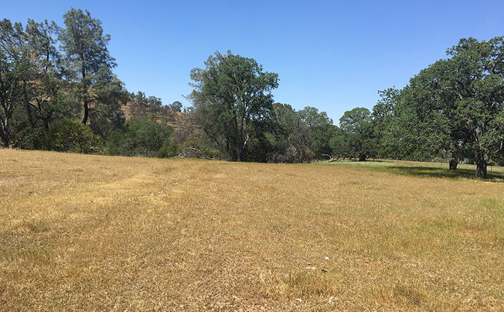 Pictures of Land property located at Co Rd 23, Esparto, CA 95627 for sales - image #1