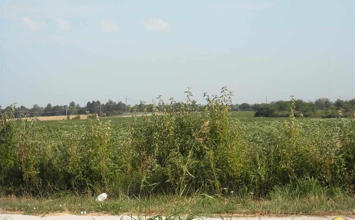 Pictures of Special Purpose property located at Lot 1 Blk B SW 17th ST, Topeka, KS 66615 for sales - image #1