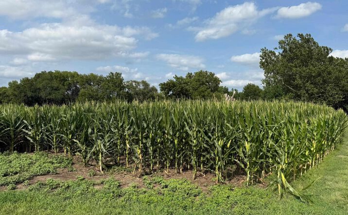 Pictures of Land property located at SW 53rd St, Topeka, KS 66610 for sales - image #1