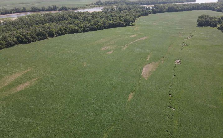 Pictures of Land property located at XXX NW Douglas RD, Topeka, KS 66615-0100 for sales - image #1