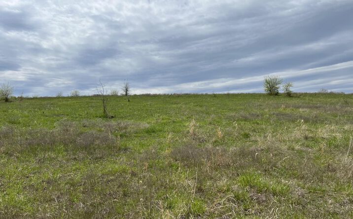 Pictures of Land property located at Parcel 5A SE Stanley RD, Tecumseh, KS 66542 for sales - image #1