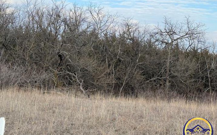 Pictures of Land property located at 101st SE Croco RD, Berryton, KS 66409 for sales - image #1
